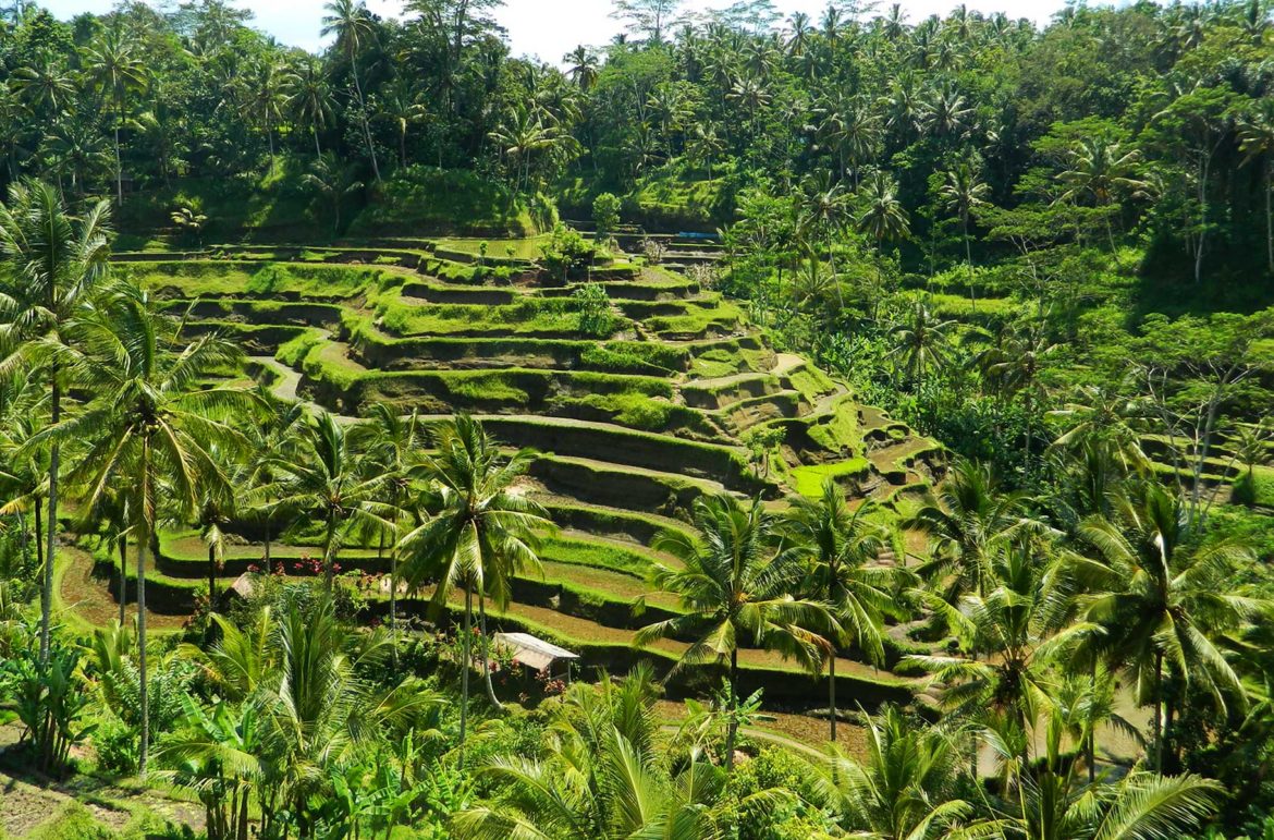 O que fazer em Bali 10 atrações que são imperdíveis